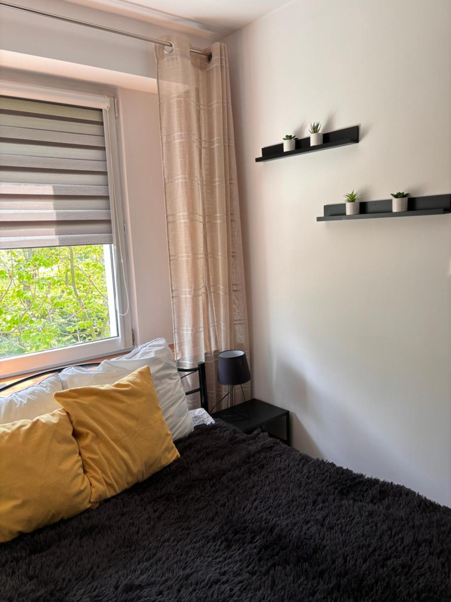 Apartament Teresa ニサ エクステリア 写真